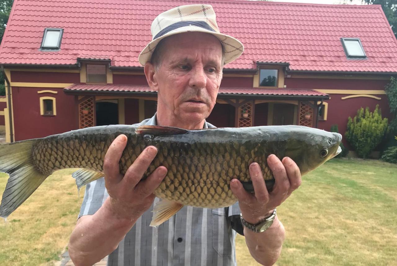 Вилла Agro Na Wapniarni Biala  Экстерьер фото